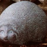 Egel Groot