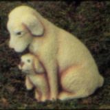 Hond met Puppy