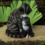 Kat met Kitten