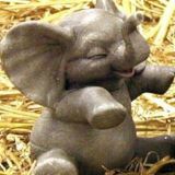 Olifant "zittend" B