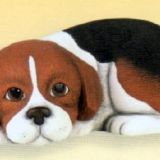 Puppy "liggend"