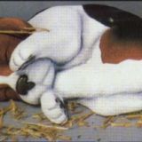 Puppy "slapend"