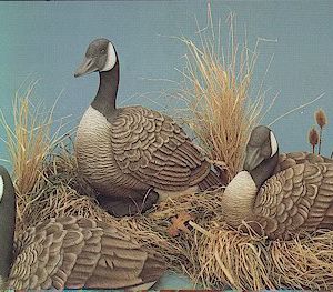 Canadese Gans “Liggend” (groot)